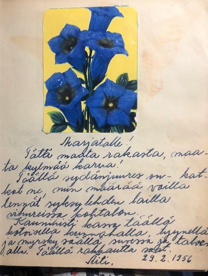 Kiiltokuva 12